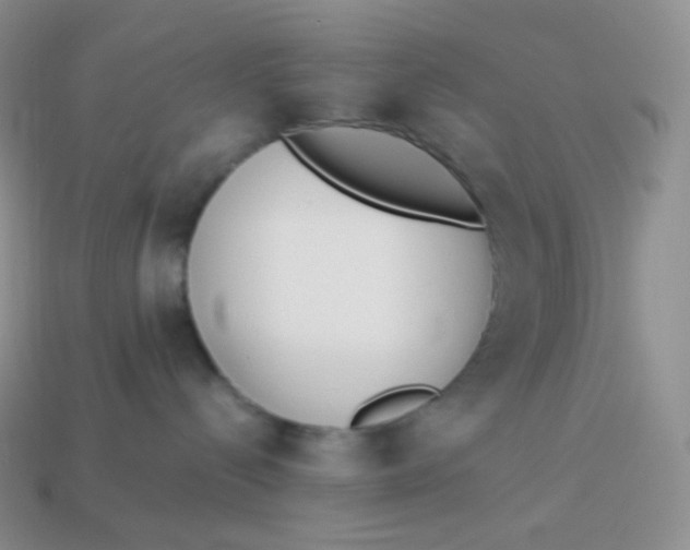 X0000113910288200910151424