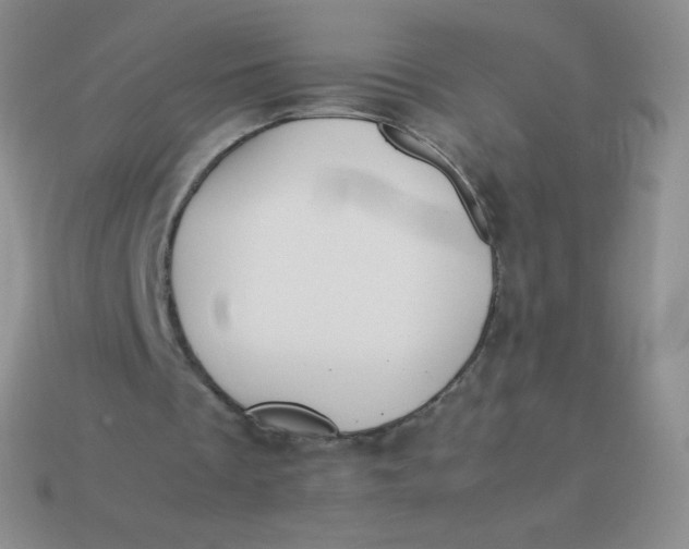 X0000113910289200910151424