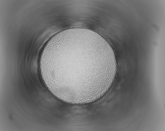 X0000113910290200910151424