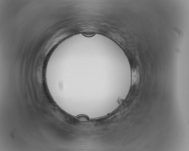 X0000113910291200910151424