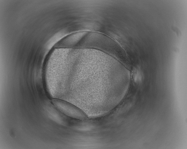 X0000113910292200910151424