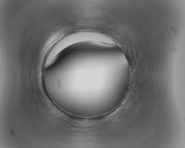 X0000113910293200910151424