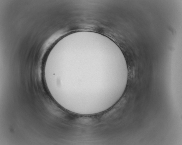 X0000113910294200910151424