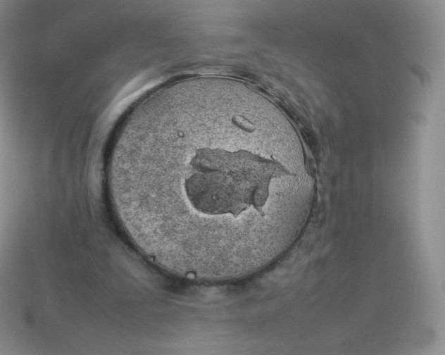 X0000113910295200910151424