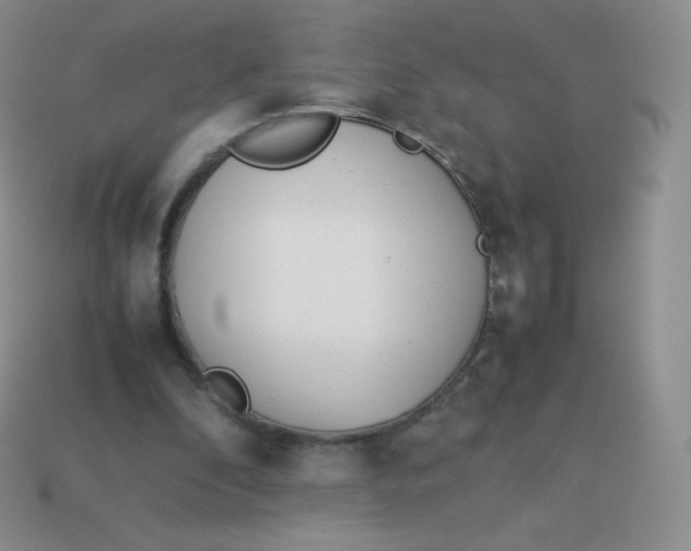 X0000113910296200910151424