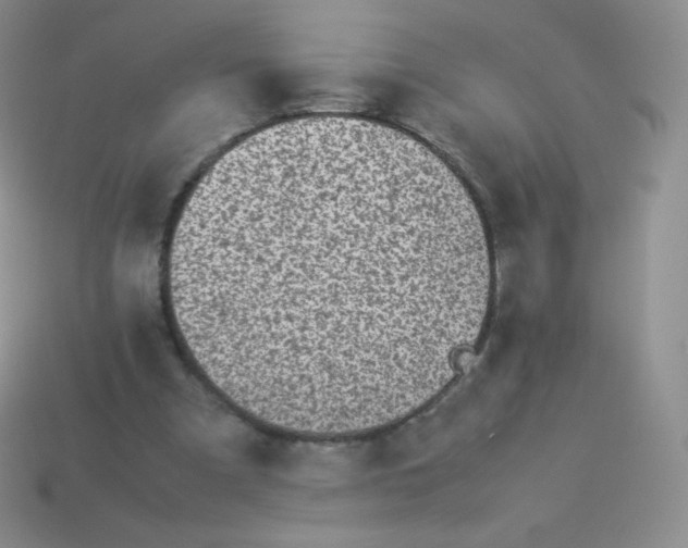 X0000113910297200910151424