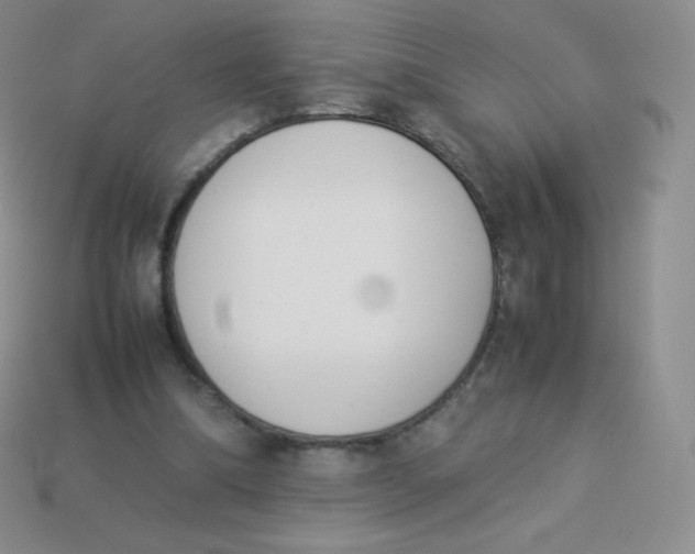 X0000113910298200910151423