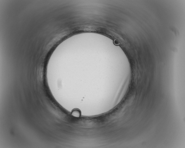 X0000113910299200910151423