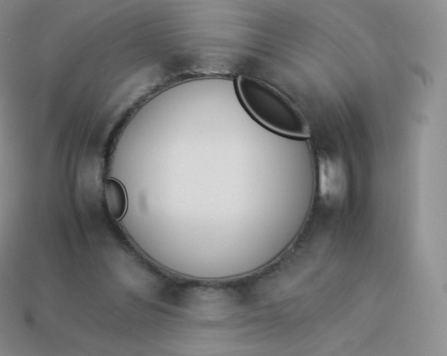 X0000113910300200910151423