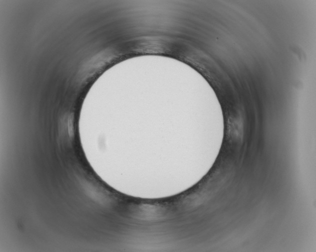 X0000113910302200910151423