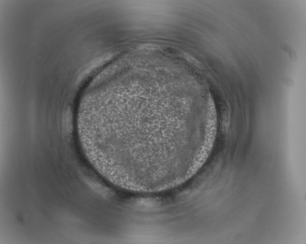 X0000113910303200910151423