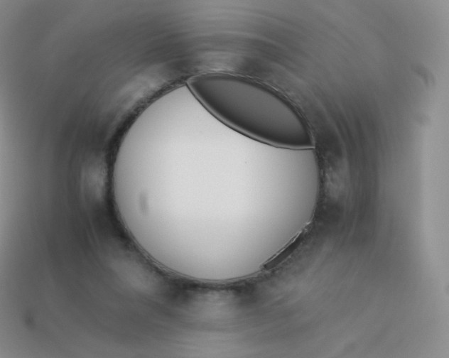 X0000113910304200910151423