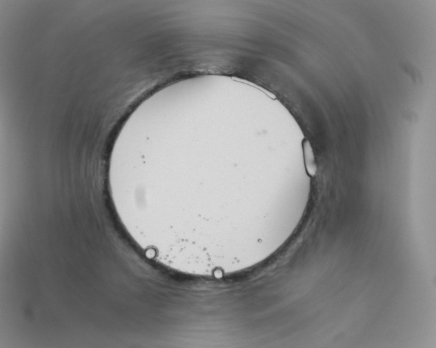 X0000113910305200910151423