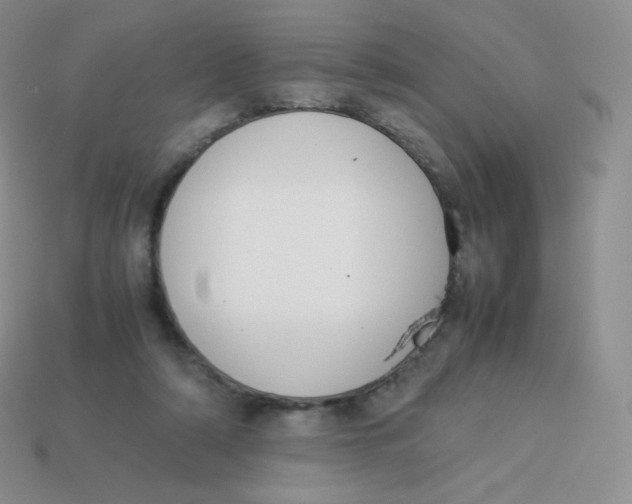 X0000113910306200910151423