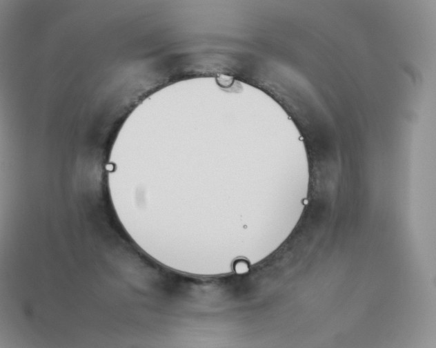 X0000113910309200910151423