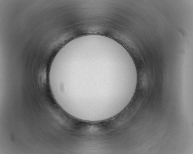 X0000113910310200910151423