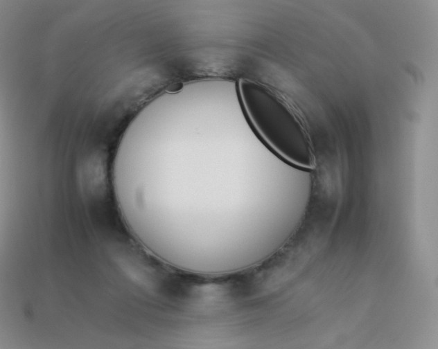 X0000113910312200910151423