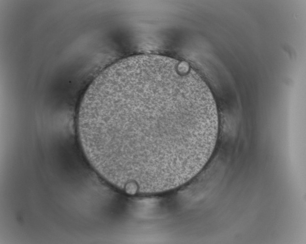 X0000113910313200910151423