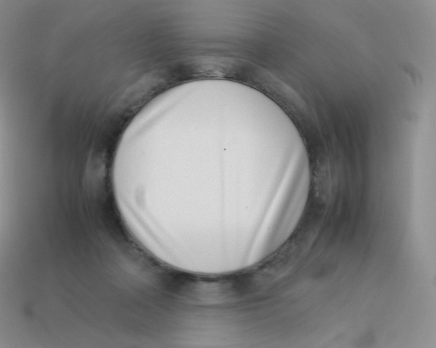 X0000113910314200910151423