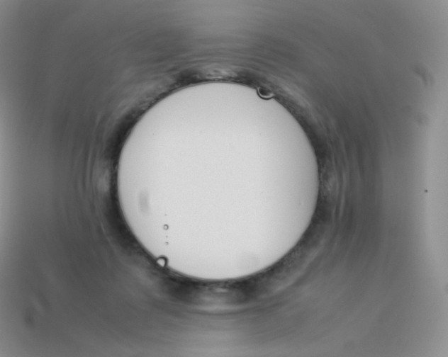 X0000113910315200910151423