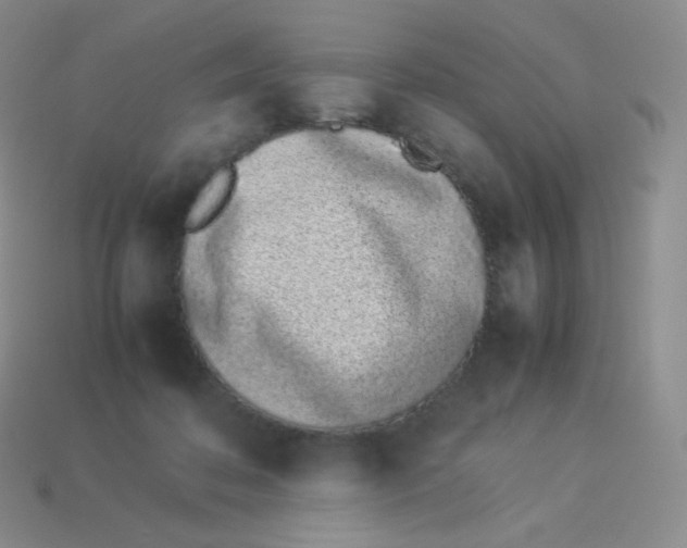 X0000113910316200910151423