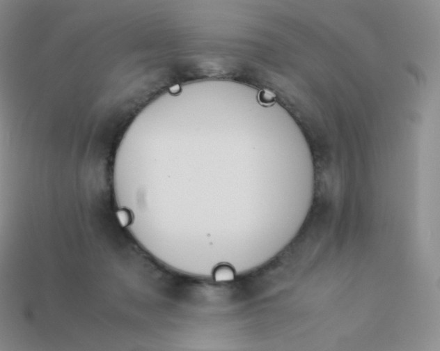 X0000113910317200910151423