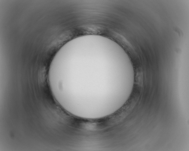 X0000113910318200910151423