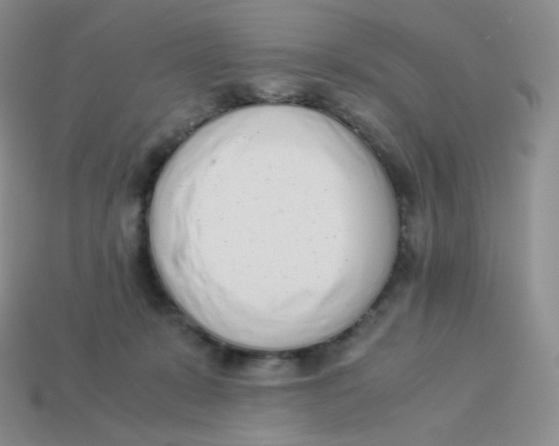 X0000113910319200910151423