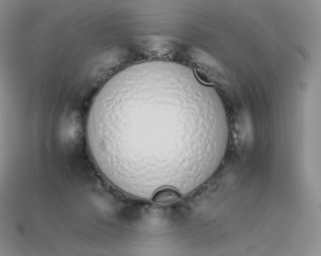 X0000113910320200910151423