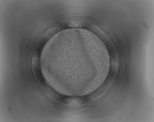 X0000113910322200910151423