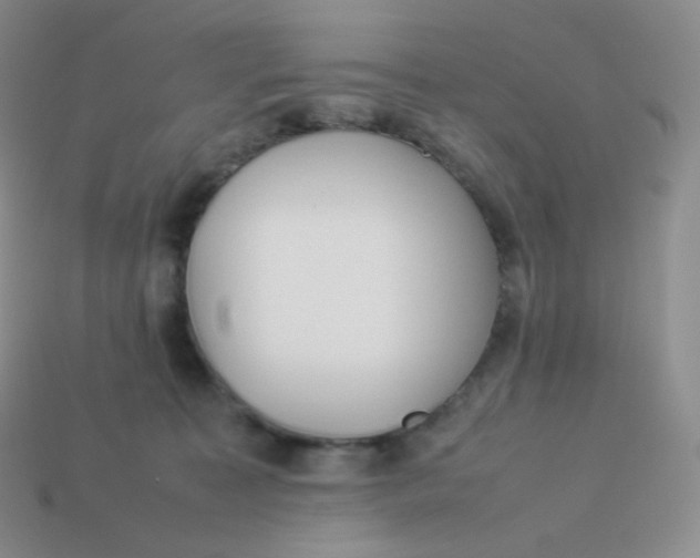 X0000113910323200910151423