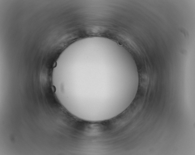 X0000113910324200910151423