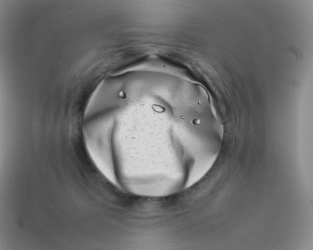 X0000113910325200910151423