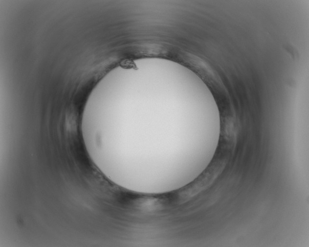 X0000113910326200910151423