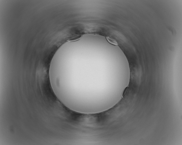 X0000113910327200910151423