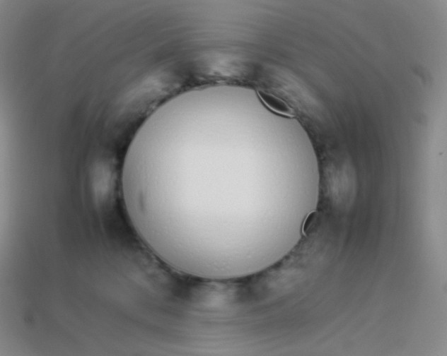 X0000113910328200910151423