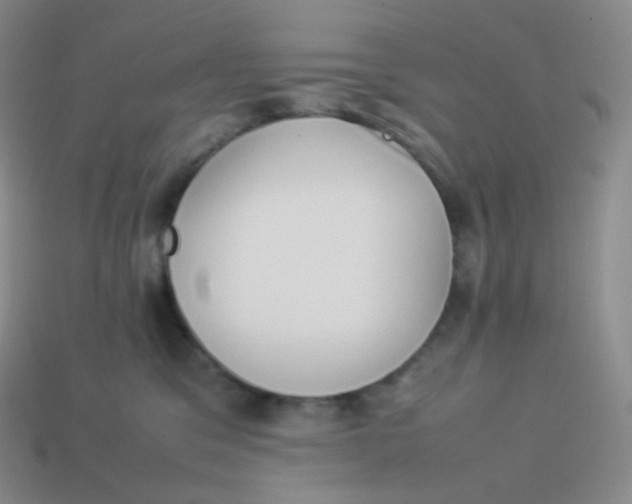 X0000113910329200910151423