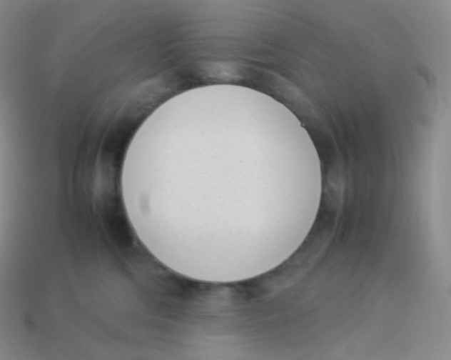 X0000113910330200910151423