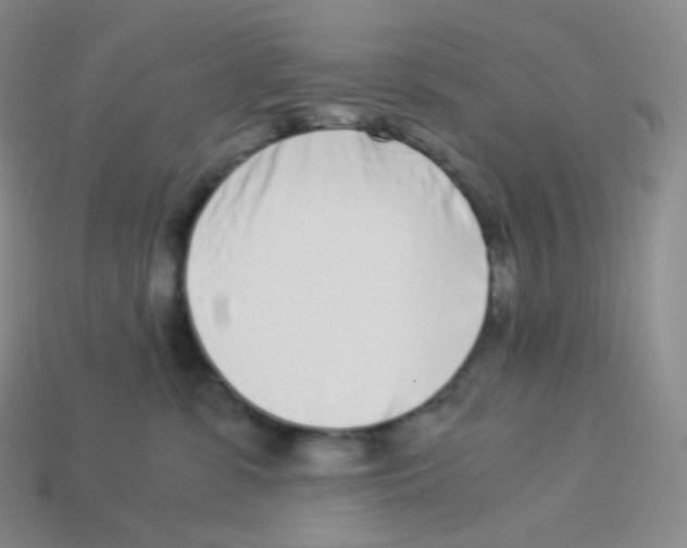 X0000113910331200910151423