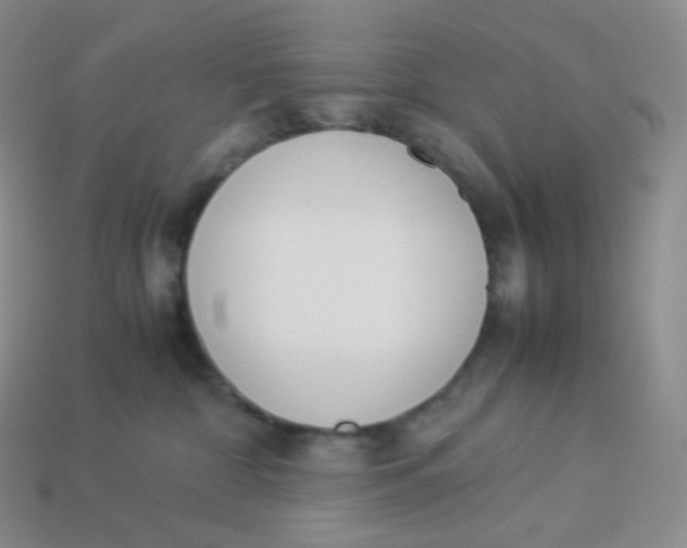 X0000113910332200910151423