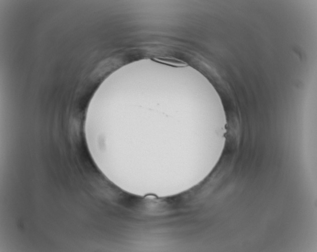 X0000113910333200910151423