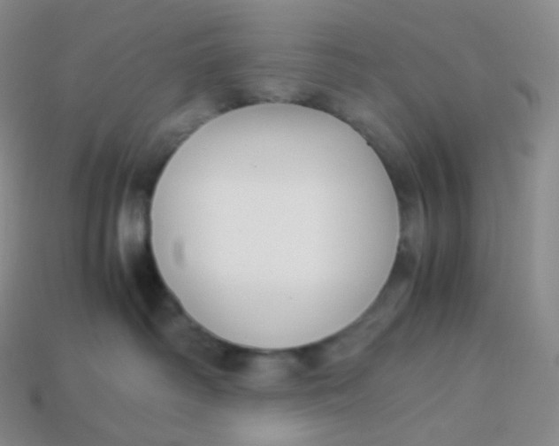 X0000113910334200910151423