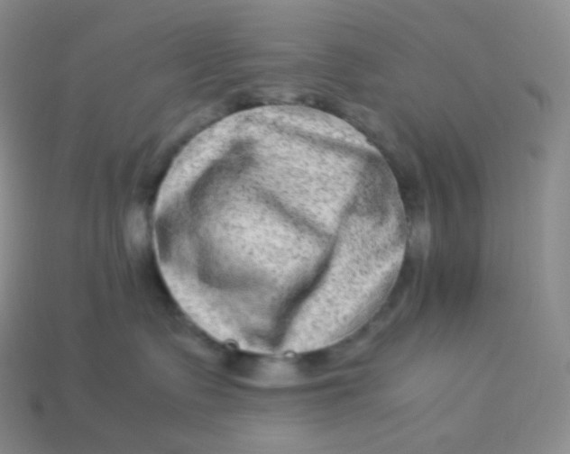 X0000113910335200910151423