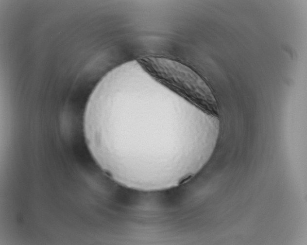 X0000113910336200910151423