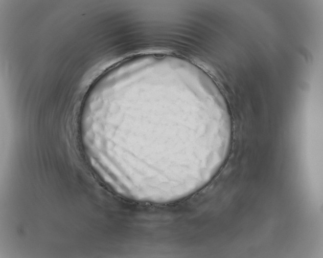 X0000113910337200910151422