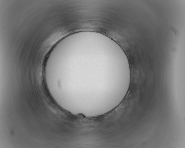 X0000113910338200910151422