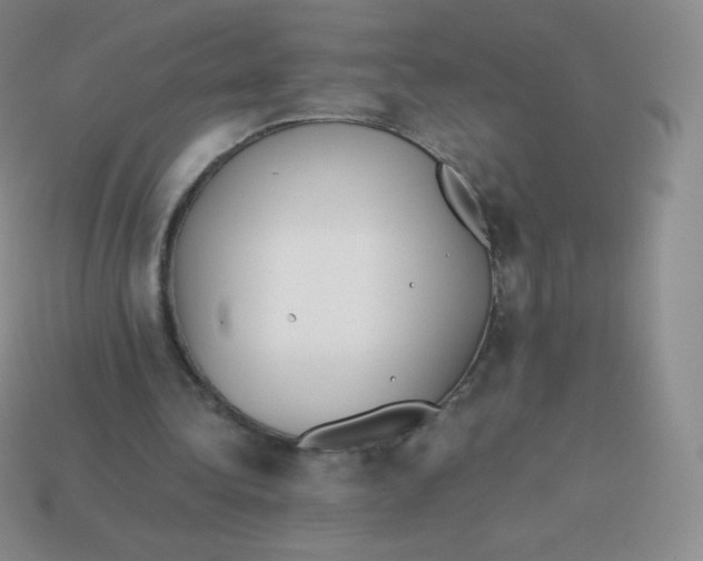 X0000113910340200910151422