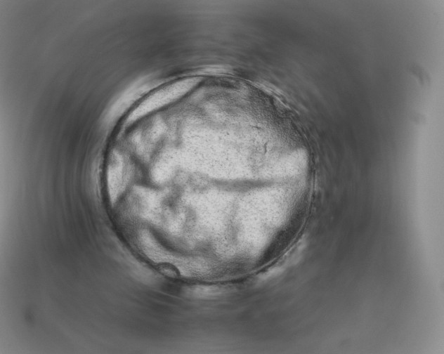 X0000113910341200910151422