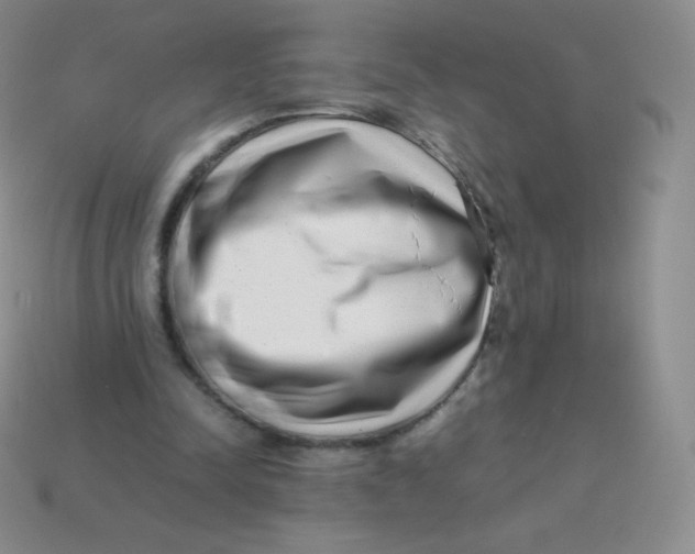 X0000113910342200910151422