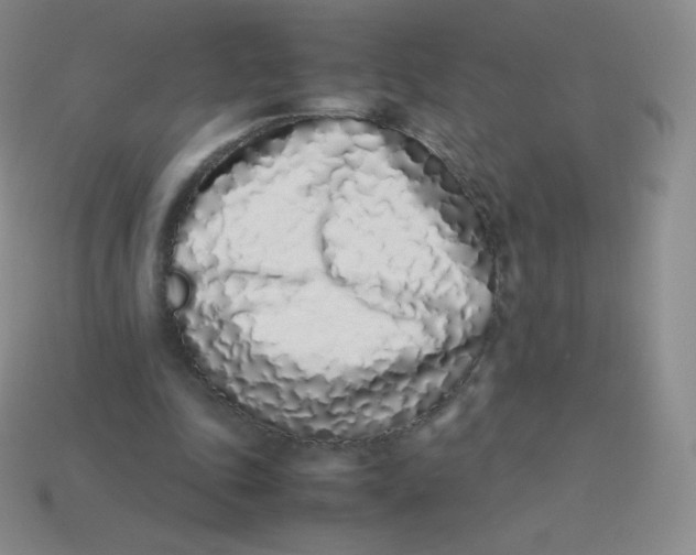 X0000113910343200910151422